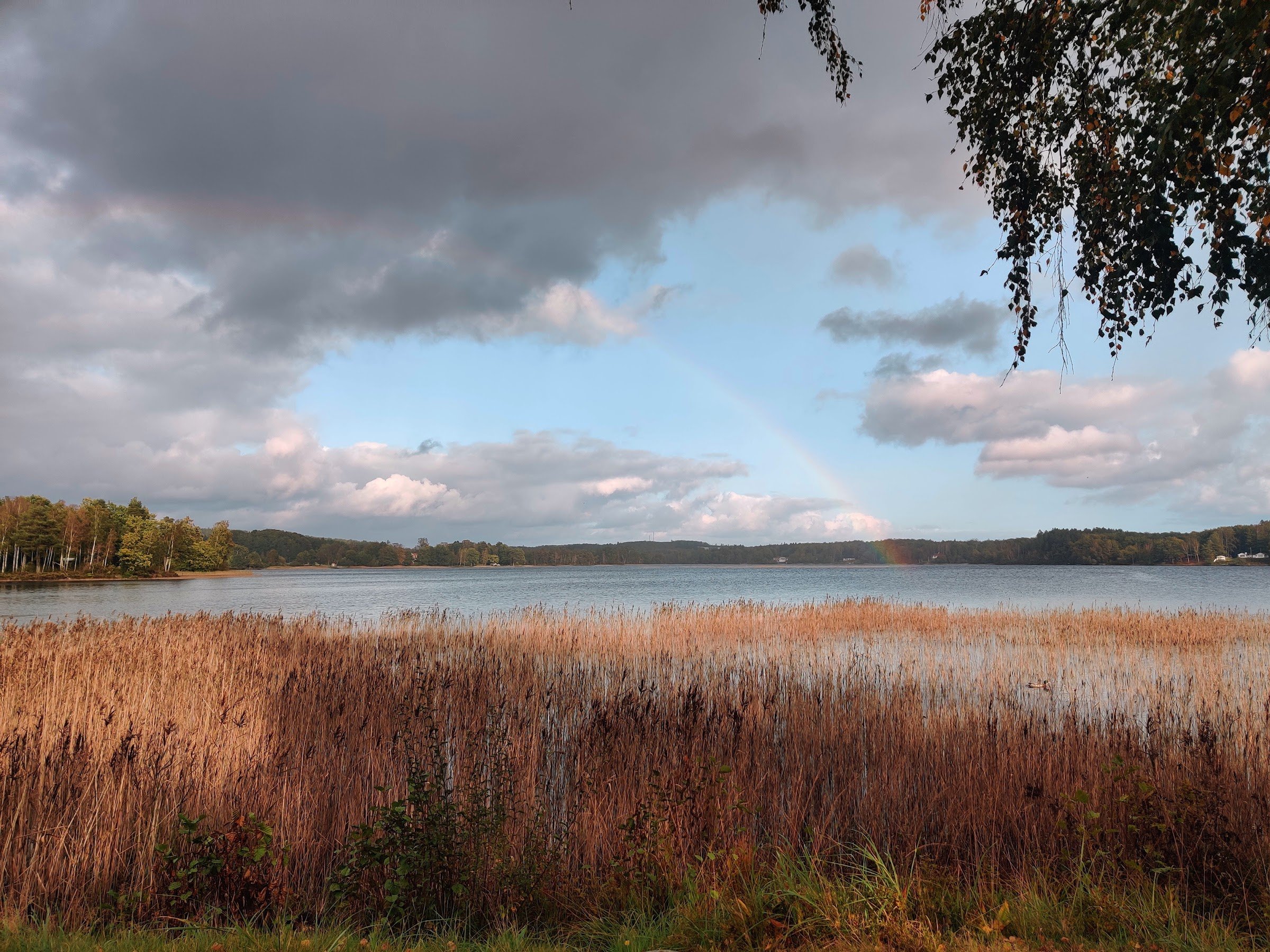 Grillplats Mammas vik